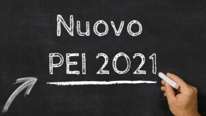 nuovo-PEI-2021-principali-novità-per-linclusione
